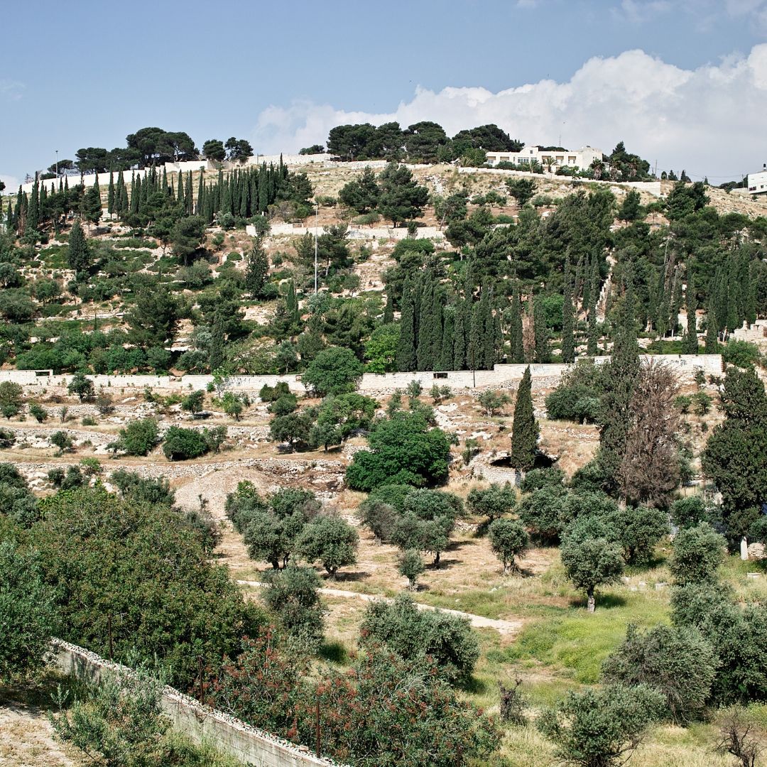 MOUNT. OF OLIVES israeal